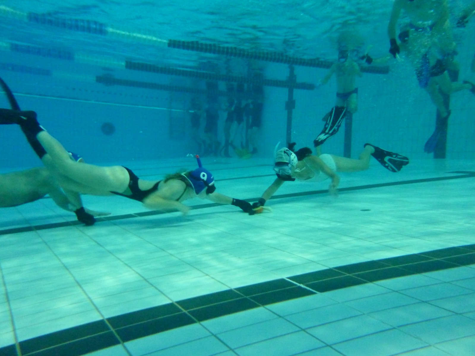 Hockey Subaquatique